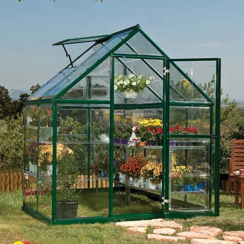 6X6 Greenhouse - Palram Canopia Harmony - Image 2