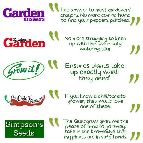 Quadgrow Planter - Image 7