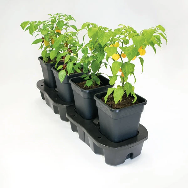 Quadgrow Planter - Image 3