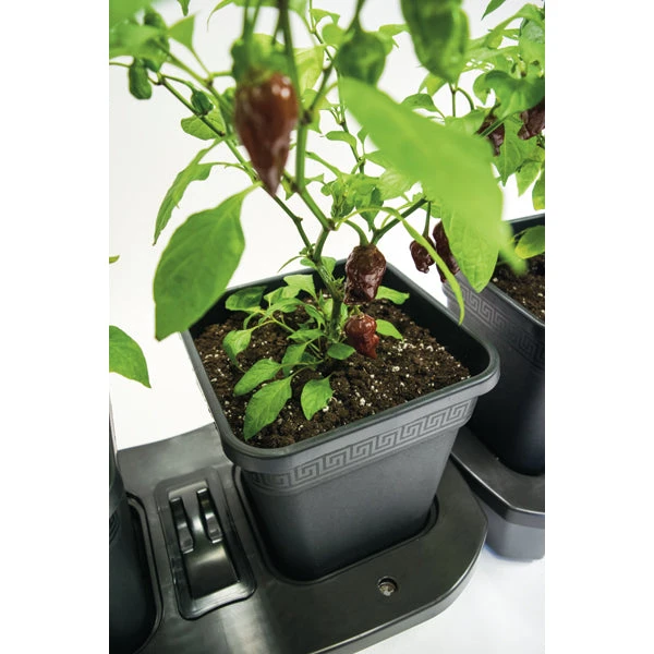 Quadgrow Planter - Image 4